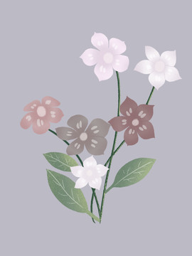 肌理花卉綠植插畫簡約
