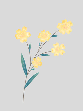 黃色花朵蘭肌理花卉綠植插畫