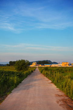 田间路