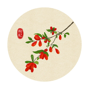手繪枸杞