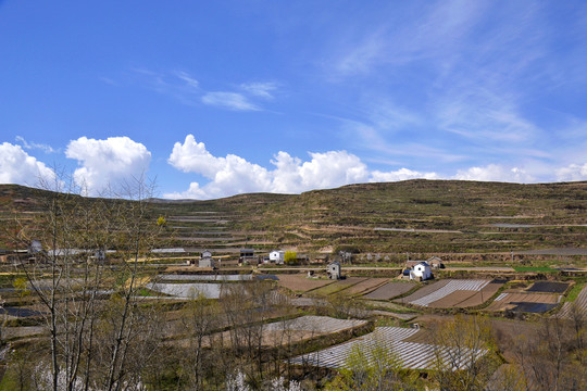 乡村风光