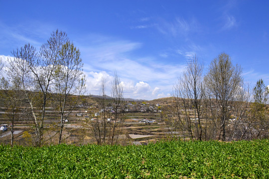 乡村风光