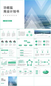 植物型功能盐商业计划书PPT