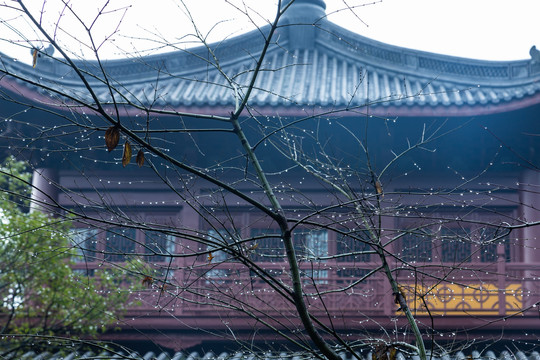 杭州永福寺雪霁