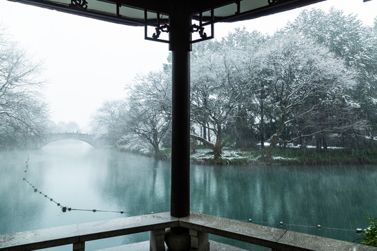 杭州花港观鱼公园雪霁