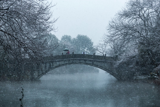 杭州花港观鱼公园雪霁