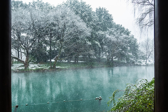 杭州花港观鱼公园雪霁