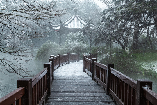 杭州花港观鱼公园雪霁