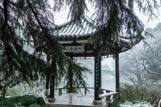 杭州花港观鱼公园雪霁