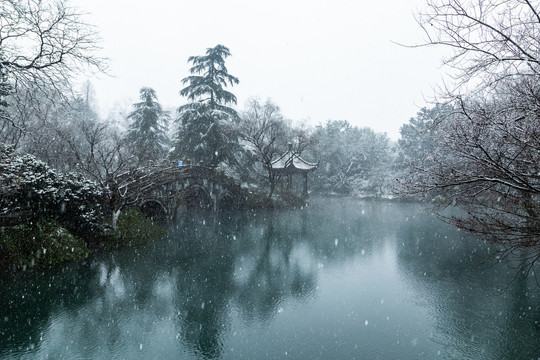 杭州花港观鱼公园雪霁