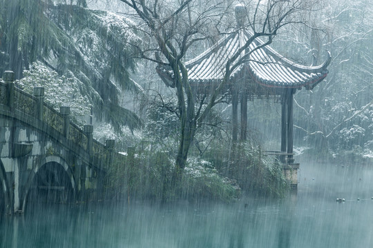 杭州花港观鱼公园雪霁