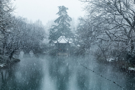 杭州花港观鱼公园雪霁