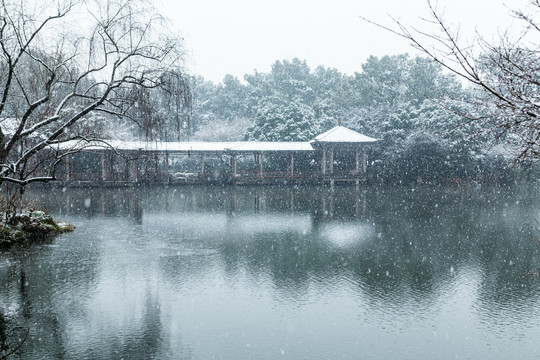 杭州花港观鱼公园雪霁