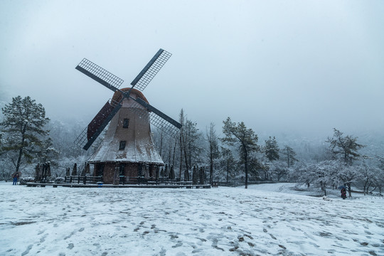 杭州太子湾公园雪霁