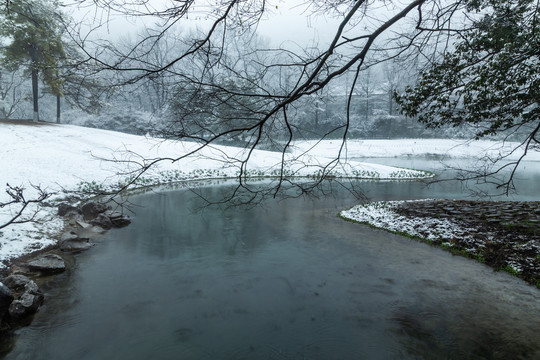 杭州太子湾公园雪霁