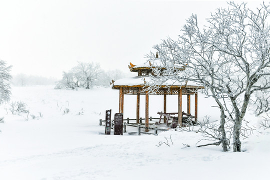 雪景