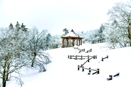 意境雪景