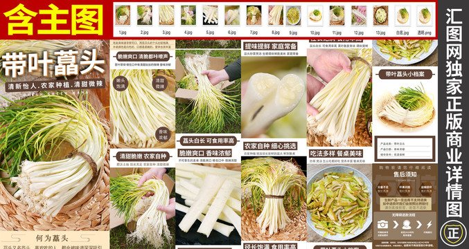 帶葉藠頭詳情