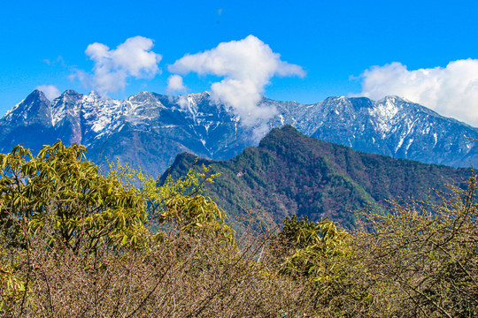 四姑娘山