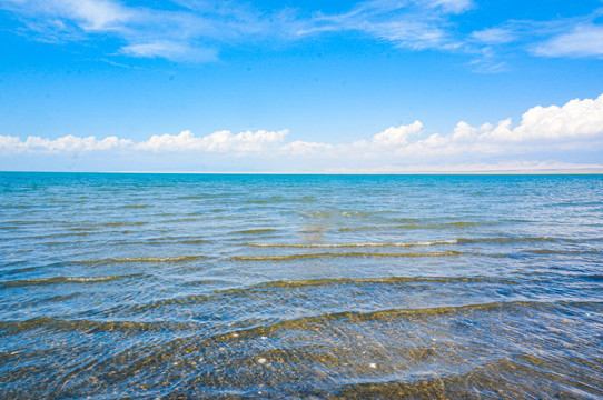 青海湖风光