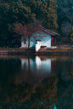 武汉东湖梅园的房子