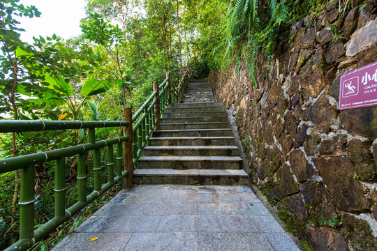 平南北帝山旅游风景区登山石阶