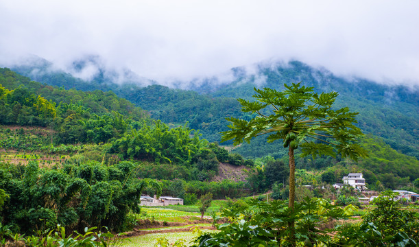 云雾群山