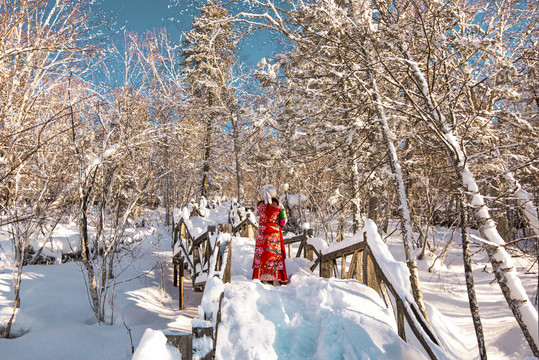 梦幻雪景雾凇