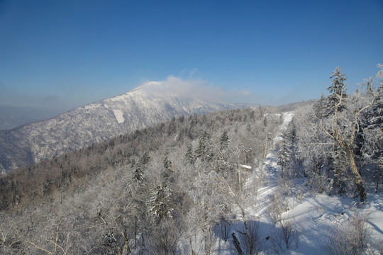 牡丹江雪乡雪谷雪蘑菇东北旅游