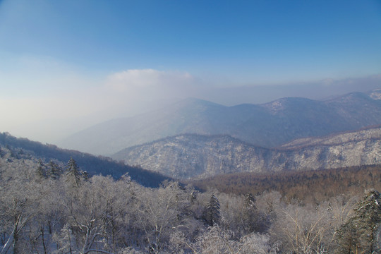 牡丹江雪乡雪谷雪蘑菇东北旅游