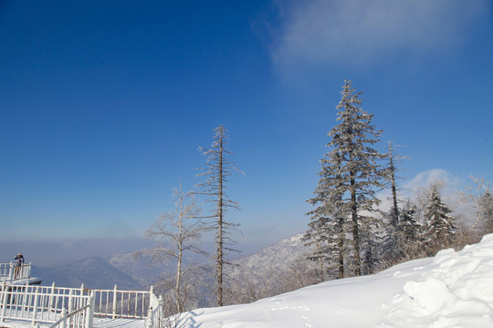 牡丹江雪乡雪谷东北旅游