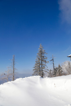 牡丹江雪乡雪谷东北旅游