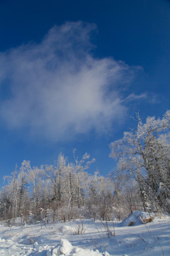 牡丹江雪乡雪谷东北旅游