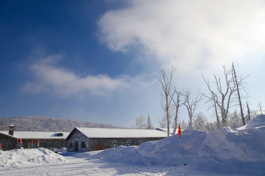 牡丹江雪乡雪谷东北旅游冬季