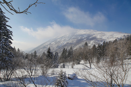 牡丹江雪乡雪谷东北旅游冬季