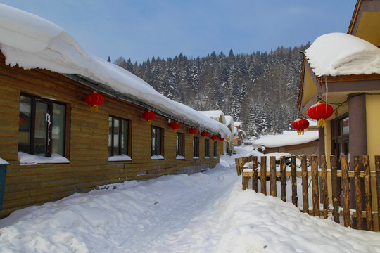 中国雪乡雪房子东北旅游雪景