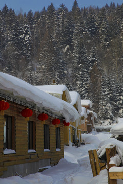 中国雪乡雪房子东北旅游雪景