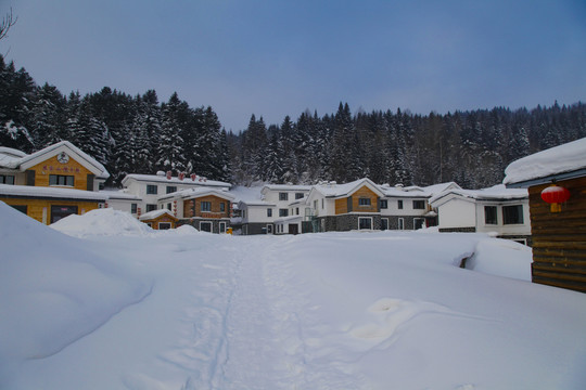 雪乡雪房子东北旅游雪景