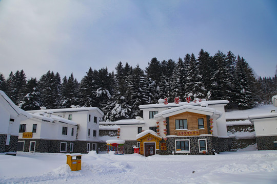 雪乡雪房子东北旅游雪景