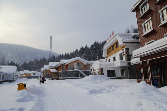 中国雪乡雪房子东北旅游雪景