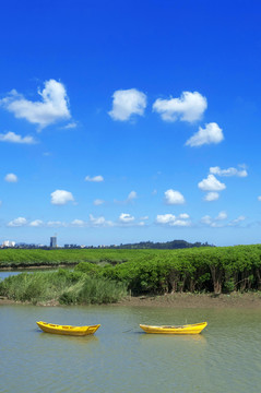 洛阳桥湿地风景