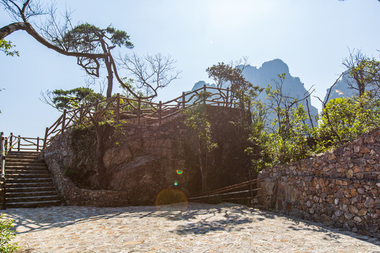 北帝山旅游风景区五针松观景台