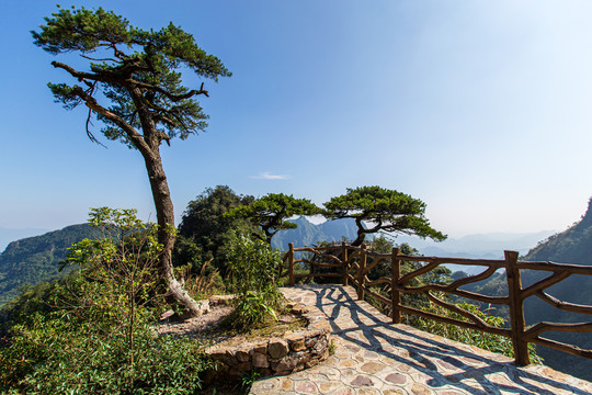 北帝山旅游风景区五针松观景台