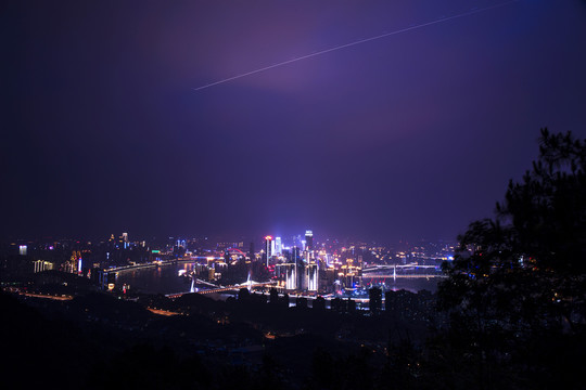 南山一棵树夜景