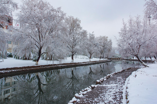 雪景