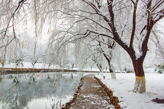 河道雪景