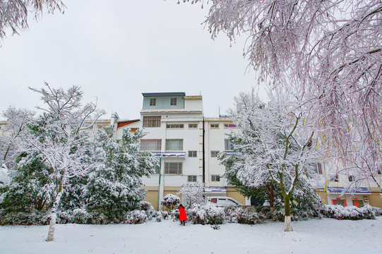 小区雪景