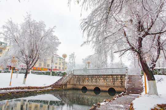 公园雪景