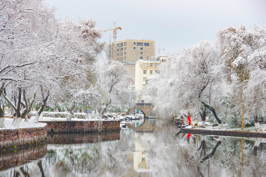 公园雪景