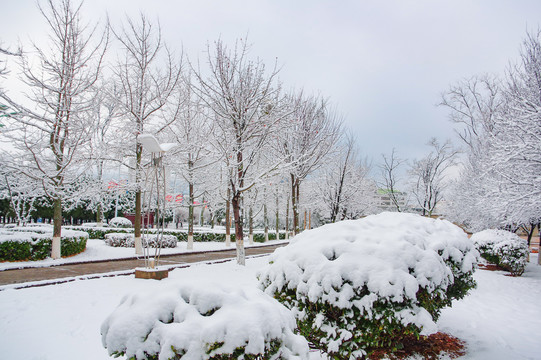 会泽雪景